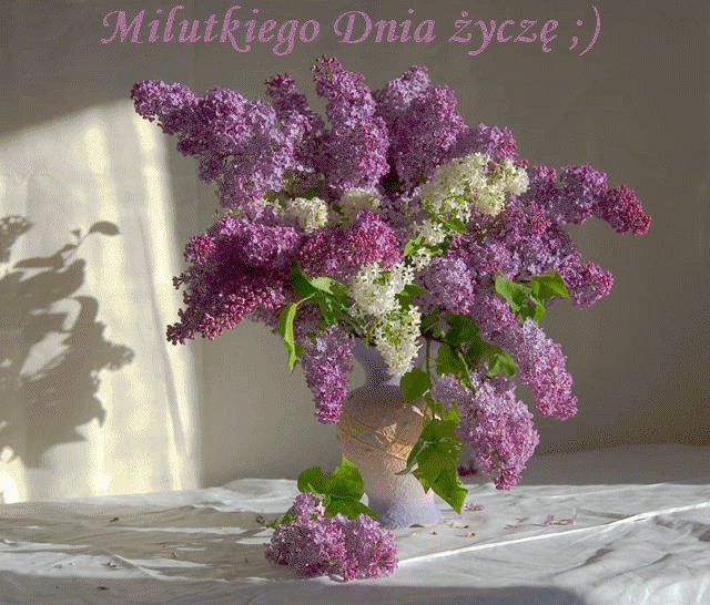 Milutkiego dnia bzy